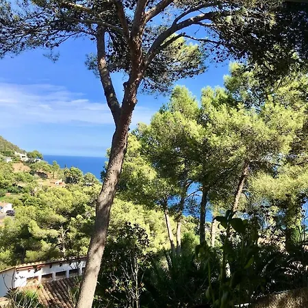 Villa Mediterranean Dream